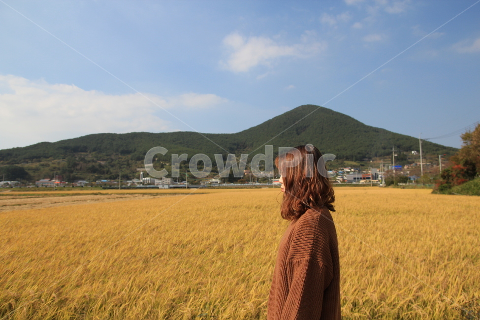 가을,자연,벼,풍경,옆모습,가을,계절,fall,autumn,season,사람,인물,인간,human,person,여성,여자,woman,female,lady