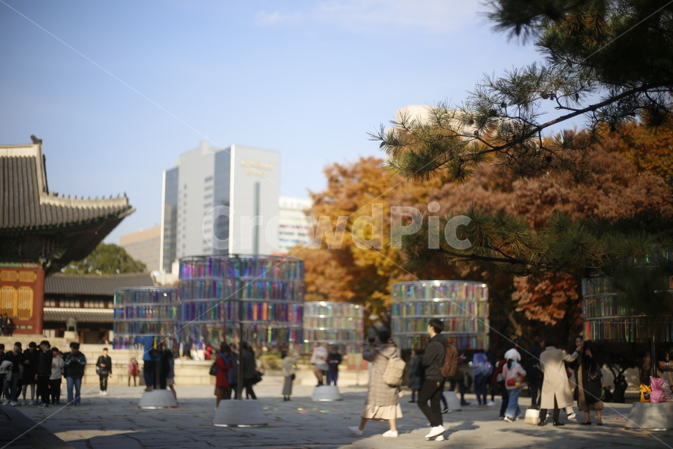 궁,한국,어반,전통양식,human,건축물,architecture,pedestrian,사람,person,보행자,덕수궁,한국의멋
