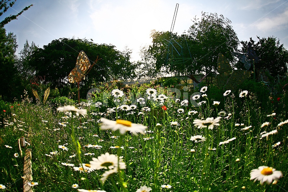 원주허브팜,허브,허브정원,봄꽃,허브팜,식물,자연,plants,nature,꽃,flower,조각상,동상,석상,조형물,statue,bronze statue,stone statue,예술,art