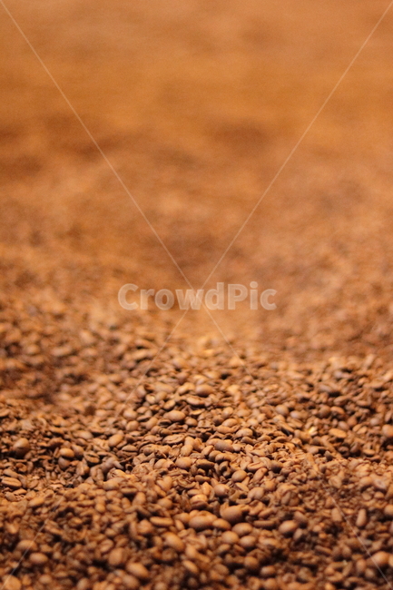 커피,커피콩,coffe,coffebean,배경,갈색,brown,바탕,따뜻한,가을,씁쓸한,쓸쓸한,에스프레소,카페,로스팅,커피,카페,coffee,cafe