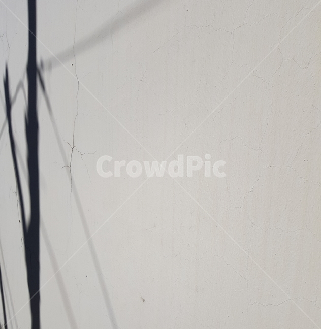 벽,그림자,명암,나뭇가지,실루엣,silhouette,shodow,contrast,wall,bw,실루엣,그림자,silhouette,shadow
