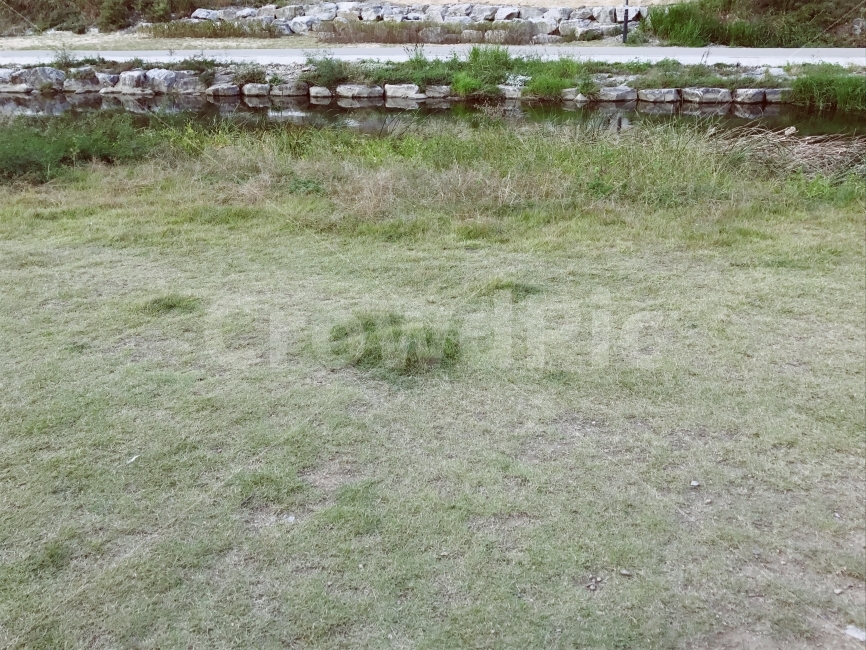 공원,잔디,풀밭,쓸쓸,가을,자연,자연,풍경,nature,landscape
