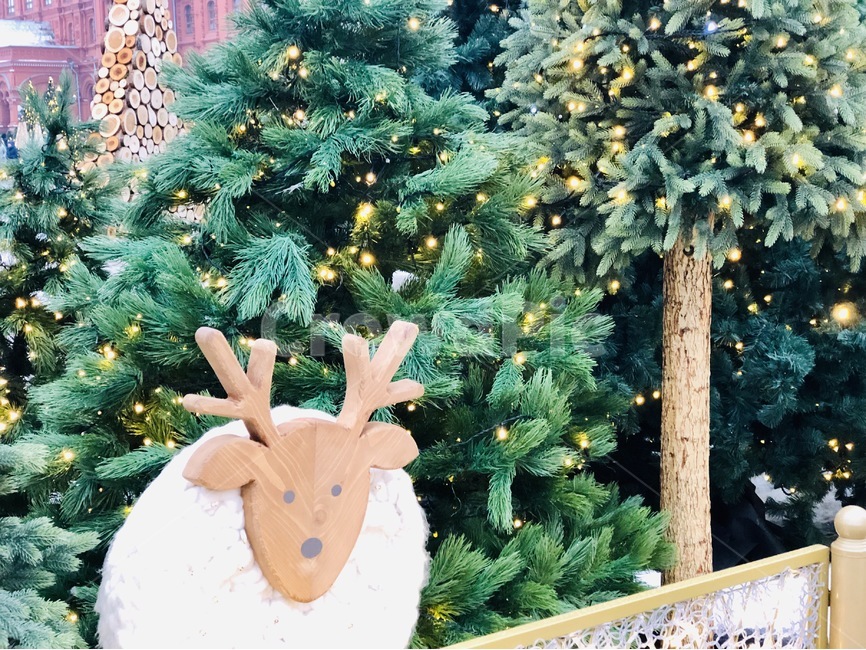 크리스마스,연말,루돌프,사슴,트리,메리크리스마스,성탄절,merry christmas