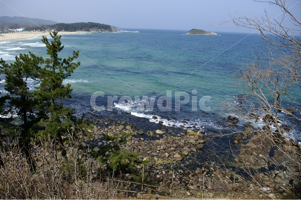 바다,풍광,푸른바다,파도,해안,소나무,섬,수평선,자연,풍경,nature,landscape,해변,바다,beach,sea,outdoors,옥외,land,땅,ocean,대양,water,물,shoreline,해안선,promontory,곶