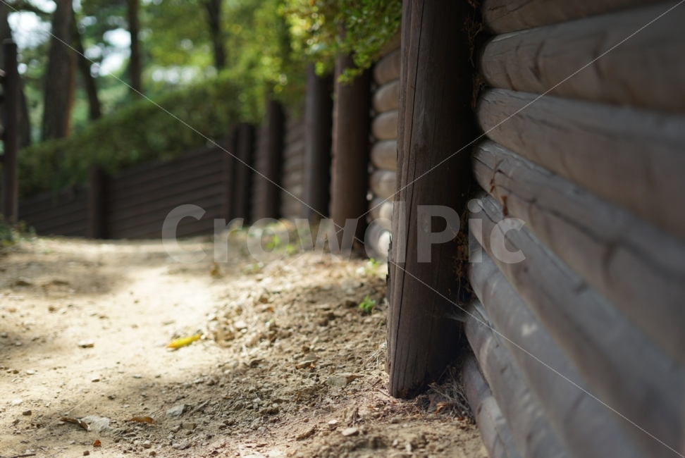 숲,자연,나무,산책,산책길,자연,풍경,nature,landscape