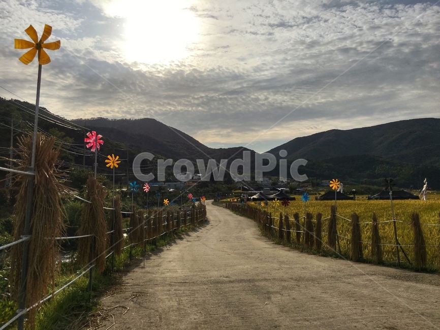 삼거마을,거제도,가을,바람개비,벼,시골,바람,햇빛,시골,마을,풍경,landscape,country,rural,town