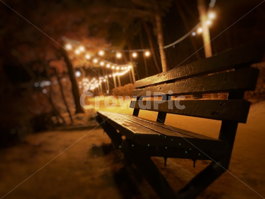 밴치,공원,저수지,전구,밤,빛,분위기,따뜻함,자연,나무,길거리,bench,reservoirs,light,night,bulb,park,야경,밤,풍경,nightscape,night,landscape,furniture,가구,벤치,park bench,공원 벤치