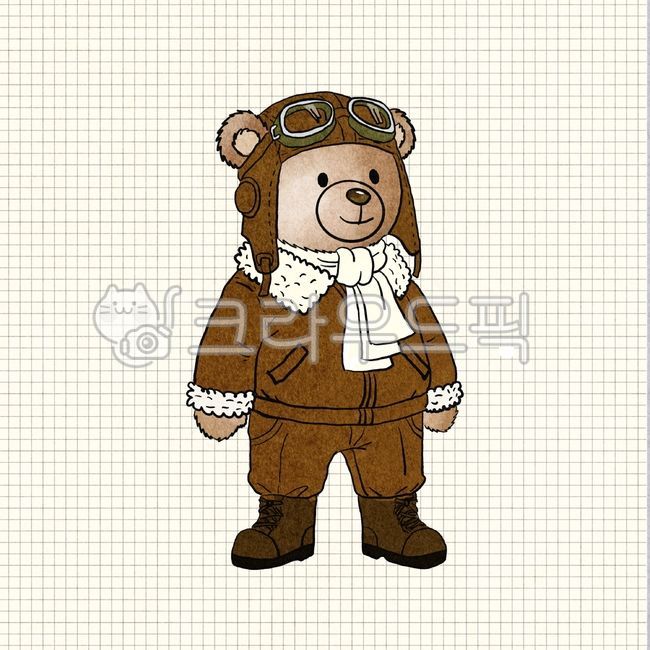 bear,bear doll,Top Gun bear doll,Gomi,fighter plane,pilot