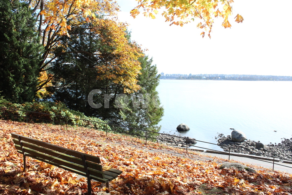 가을,낙엽,단풍,공원,벤치,풍경,자연,호수,바탕화면,배경화면,가을,계절,fall,autumn,season,bench,furniture,가구,plant,식물,tree,나무,bird,새,animal,동물