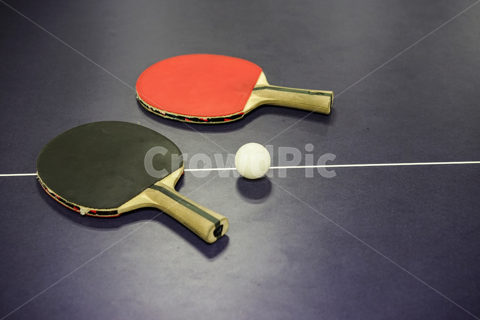 탁구,탁구대,스포츠,탁구라켓,탁구공,tabletennis,스포츠,레저,운동,sports,leisure,exercise,사물,물건,오브젝트,thing,object,matter