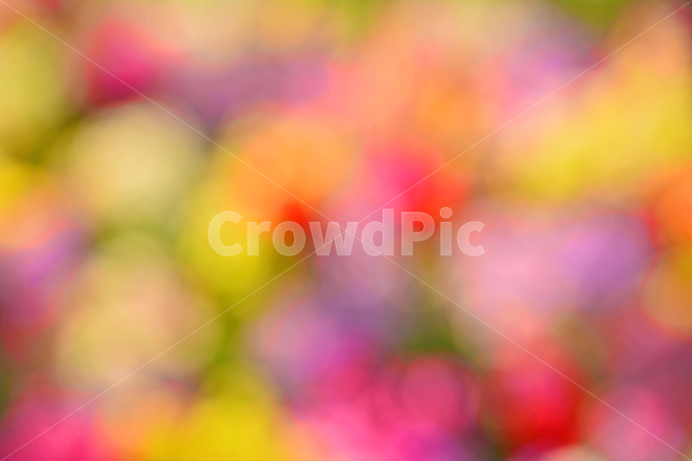 봄,색감,감성,분위기,느낌,벡그라운드,emotion,feeling,sensible,칼라풀,색상,화려한,colorful,season,시즌,계절,보케,빛망울,몽환적,그라데이션,gradation,art,번짐,혼색,다양한,노랑,빨강,핑크,분홍,그린,녹색,봄배경,background,바탕,배경