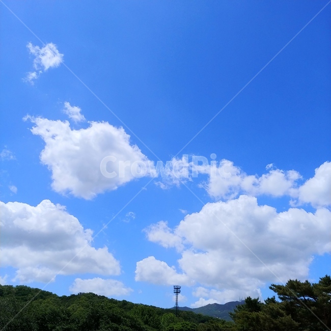 하늘,구름,파란하늘,풍경,맑은하늘,파랑,초록,파란색,초록색