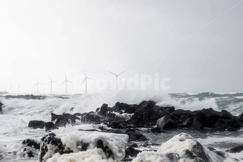 바다,파도,풍력발전기,제주도,바람,제주도,jeju,jeju island,산업,industry,industrial,에너지산업,energy industry,cattle,가축,mammal,포유류,animal,동물,cow,소