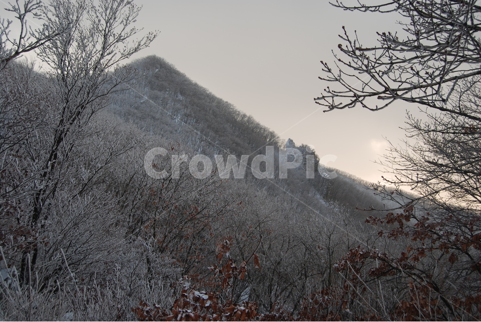 금학산,겨울,명산,등산로,자연,겨울,계절,winter,season,자연,풍경,nature,landscape,한국자연풍경,한국자연경관,korea nature landscape,outdoors,옥외,ice,빙,frost,서리,snow,눈