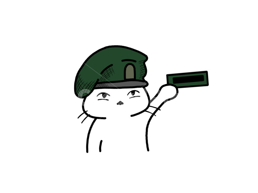 고양이,군대,귀여운,표현,표정,누끼,remove background,그래픽,일러스트레이션,graphic,illustration