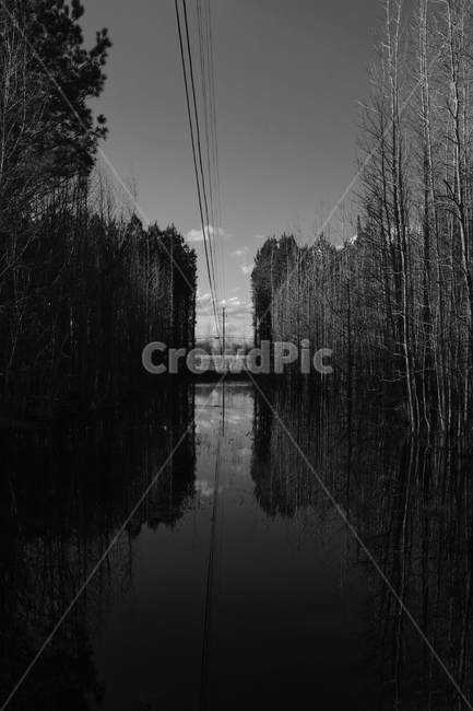 맑은하늘,나무,강,구름,전깃줄,흑백,자연,풍경,nature,landscape,흑백,모노톤,monochrome,black and white,outdoors,옥외,land,땅,water,물