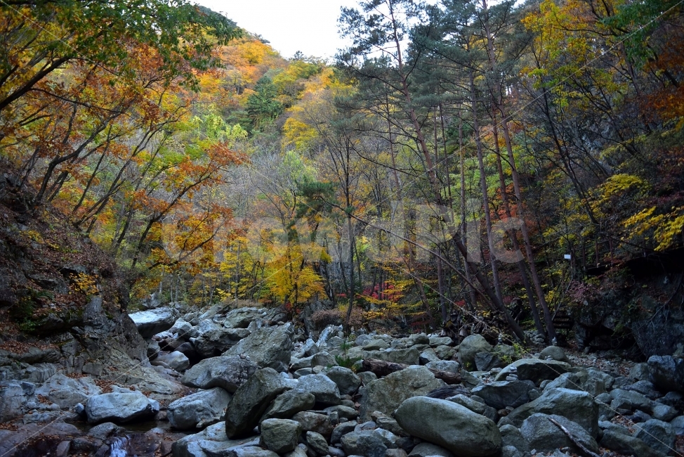 설악산,가을,풍경,단풍,탐방,국립공원,파란하늘,가을색,오색,울긋불긋,알록달록,그림같은,칼라풀,뷰티플,아름다운,힐링,감성,자연,정취,산세,명산,100대명산,nature,산,등산,트레킹,비경,경치,사진,색채,가을의정취,가을,계절,fall,autumn,season,자연,풍경,nature,landscape,한국자연풍경,한국자연경관,korea nature landscape,rubble,파편,tree,나무,plant,식물