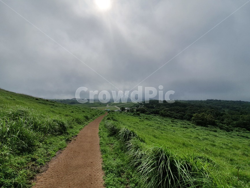 제주도,오름,새별오름,햇빛,풍경