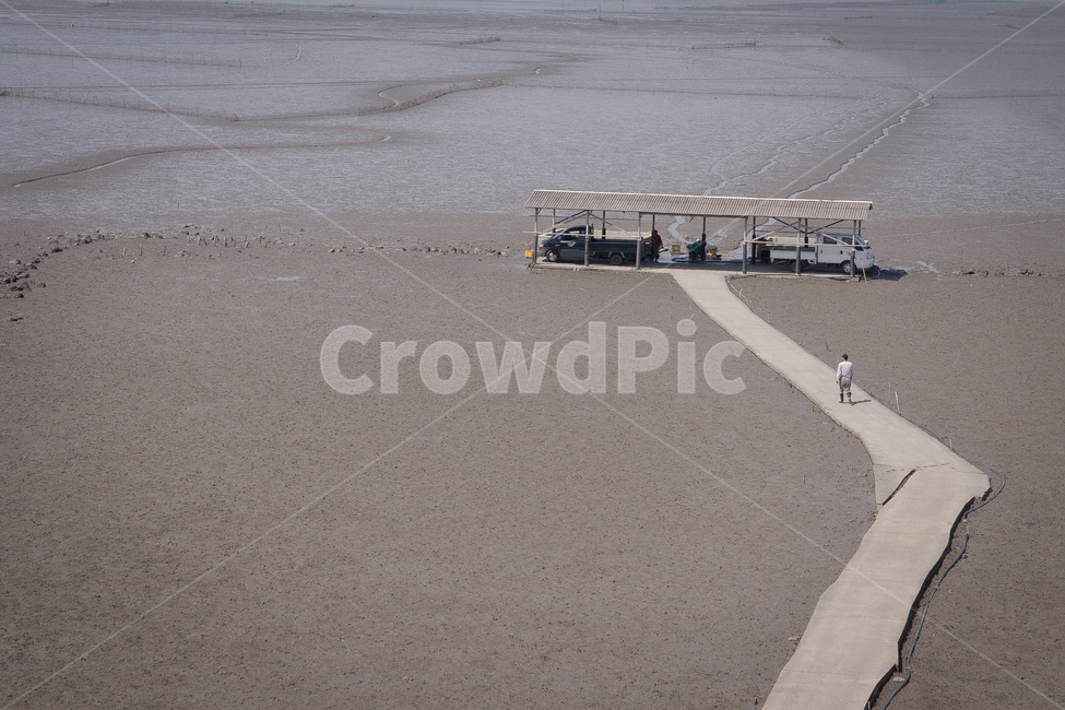 갯벌,해변,바다,진흙,길,자연,풍경,nature,landscape,해변,바다,beach,sea,asphalt,아스팔트,road,도로