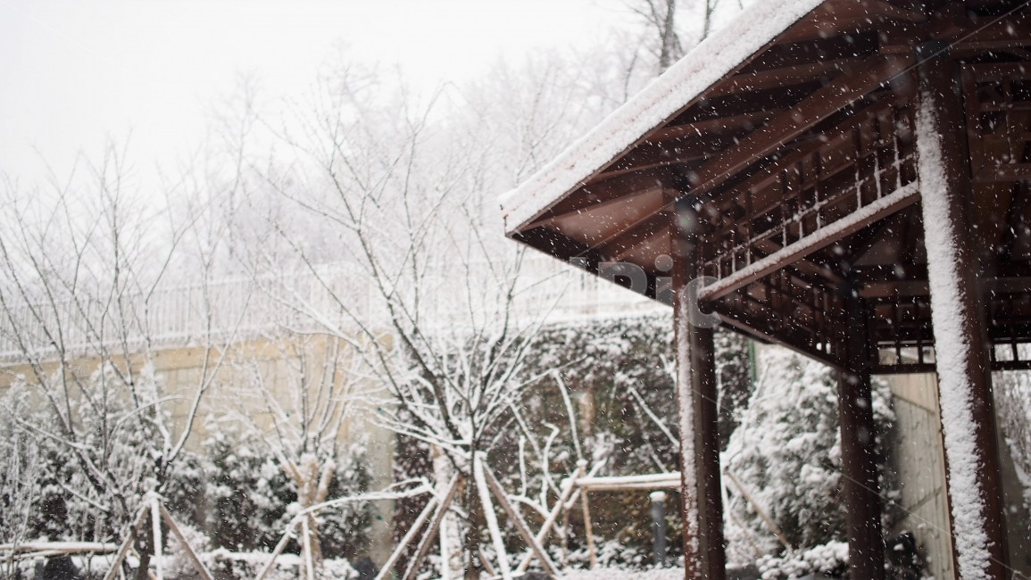 snowflake,rest,snow day,winter,peaceful,emotion,white,snow,garden,serene,park,walk