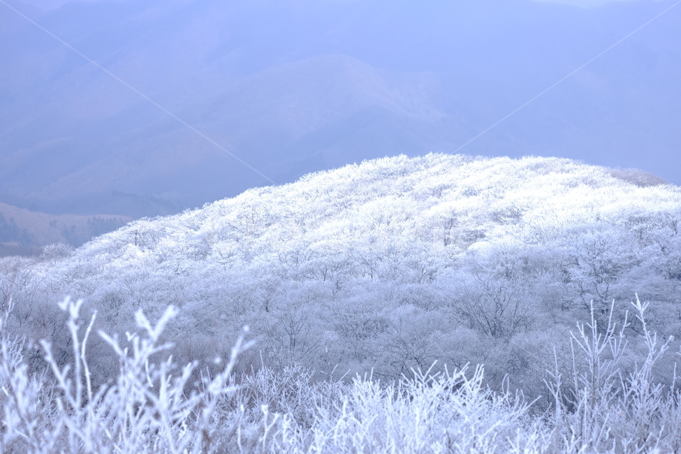 상고대,눈꽃,눈,겨울산,겨울눈꽃,겨울,계절,winter,season,자연,풍경,nature,landscape