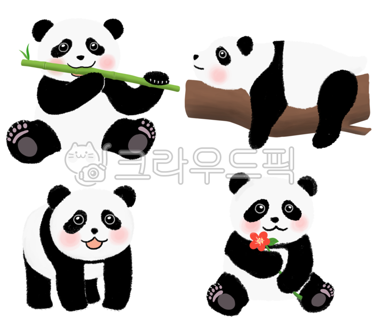 아기판다,판다,아기판다표정,얼굴,panda,꽃,나무,flower,tree,대나무판다,babypandaexpressions,faces,emoticons,characters,pandacharacter,pandaillustrations,bamboo,cute,이모티콘,캐릭터,판다캐릭터,판다일러스트,대나무,귀여운,팬더,누끼,누끼제거,png