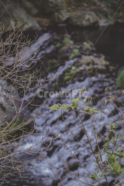 산,나무,나뭇가지,잎,계곡,자연,감성,mountains,tree,wood,leaf,valley,nature,beautiful,식물,자연,plants,nature