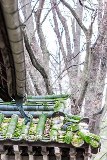 비원,문화유산,이끼,기와,물받이,고궁,전통물받이,한국전통,한국문화,korean traditional,korean culture,건축물,건물외관,exterior,building,structure,architecture,construction