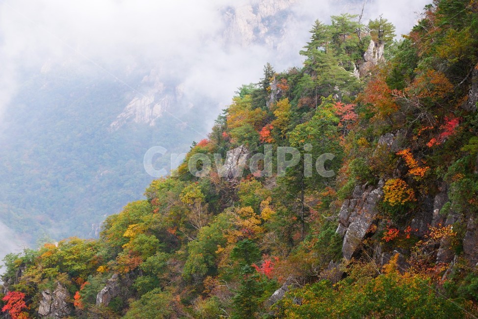 설악산,가을,단풍,국립공원,운해,가을,계절,fall,autumn,season,자연,풍경,nature,landscape,한국자연풍경,한국자연경관,korea nature landscape,outdoors,옥외,tree,나무,plant,식물