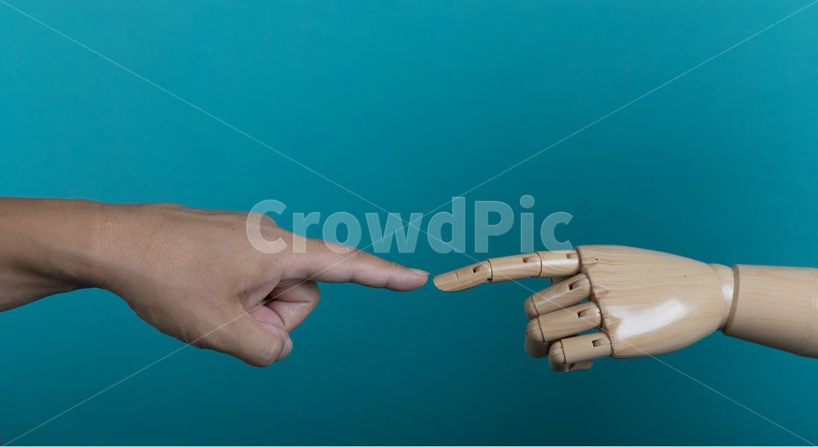 손,잡아,인간,비즈니스,개념,근접촬영,포인팅,마네킹,방향,인공,손가락,팔,관절,손톱,마주치다,hand,hold,human,business,concept,closeup,pointing,mannequin,direction,artificial,finger,arm,joints,nail,사람,인물,인간,human,person,신체일부,몸,body,손,제스처,표시,손짓,표현,gesture,hand,sign,expression,연출,컨셉,콘셉,direction,concept