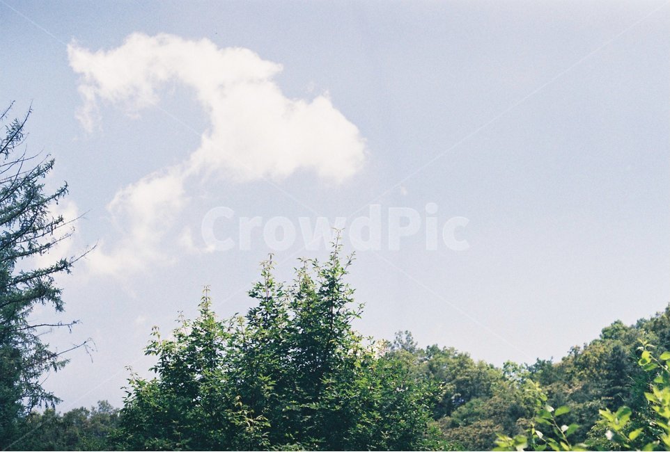 하늘,구름,산,나무,자연,풍경,초록색,초록,흰구름,sky,cloud,tree,green,자연,풍경,nature,landscape,plant,식물,fir,전나무