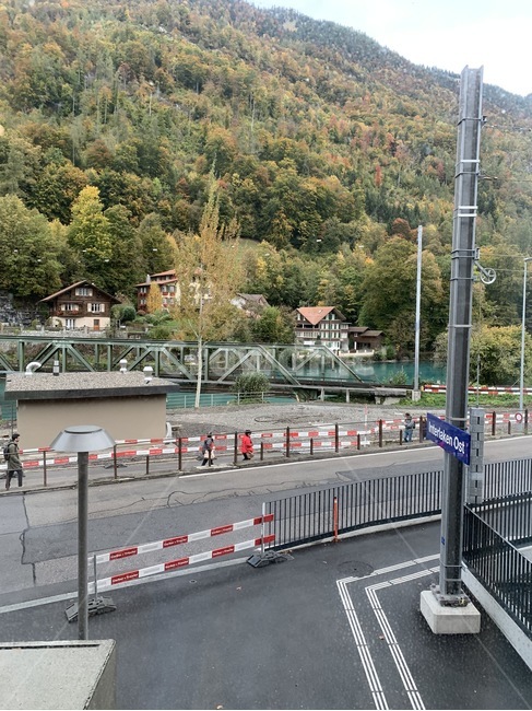 road,도로,자연,포레스트,숲,나무