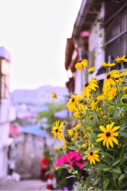 달동네,재개발,빈민촌,집,하우스,서민,anoldhouse,village,poorhillsidevillage,poor,house,건축물,오래된,빈티지,가난,삶,마을,낡은,서울
