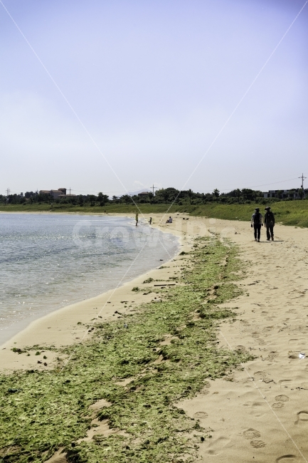 제주도,여행,여름,바다,하도리,해변,바다,beach,sea,제주도,jeju,jeju island,person,사람,human,인간,outdoors,옥외,nature,자연