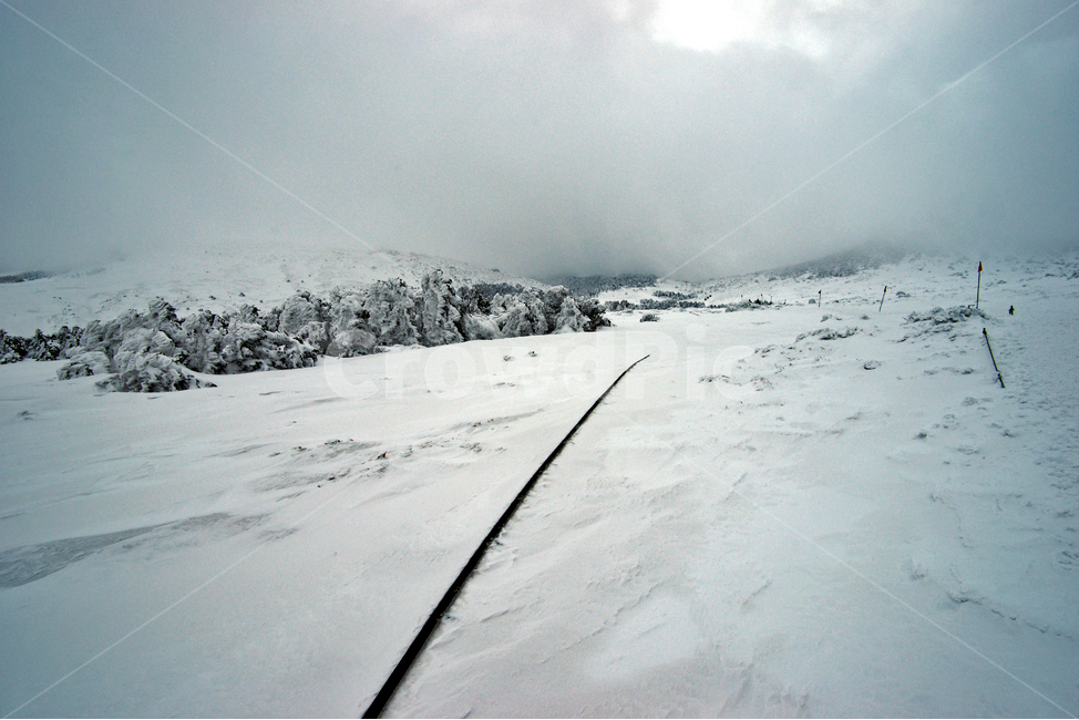 겨울산,한라산,제주도,어리목코스,설경,설산,한라산설경,겨울,겨울,계절,winter,season,자연,풍경,nature,landscape,한국자연풍경,한국자연경관,korea nature landscape