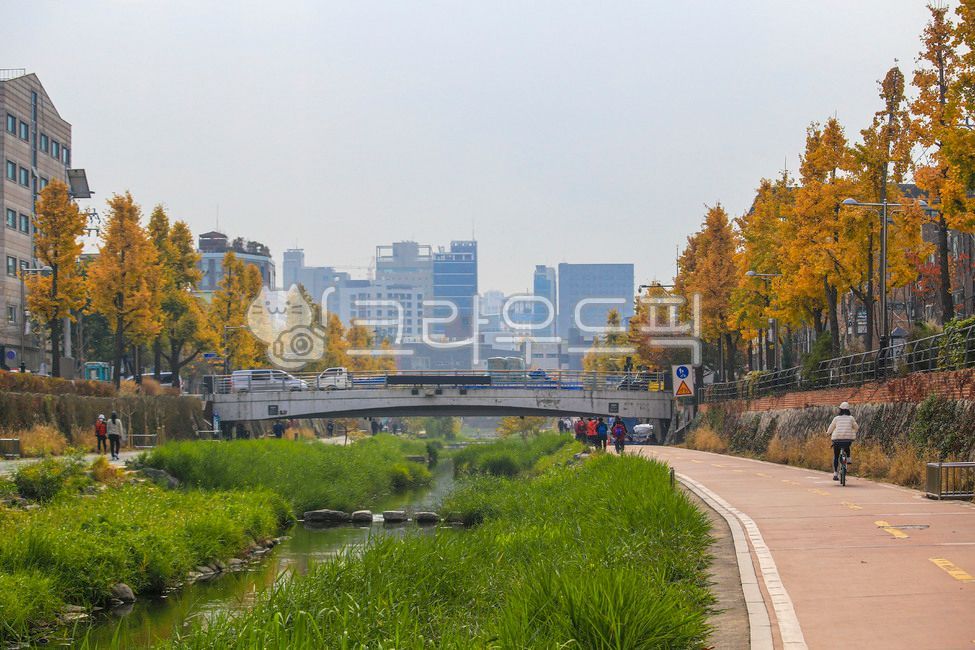 Seongbukcheon,tree,water,Seongbukgu,building,seoul,trail,road,plant,road name,human,walk