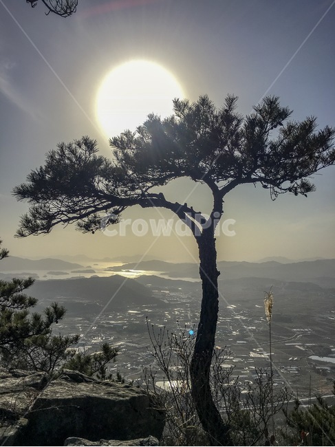 등산,산,산정상,산중턱,나무,자연,돌,건물,해,햇빛,바다,광열함,고성,고성산,거류산,식물,자연,plants,nature,나무,trees,wood