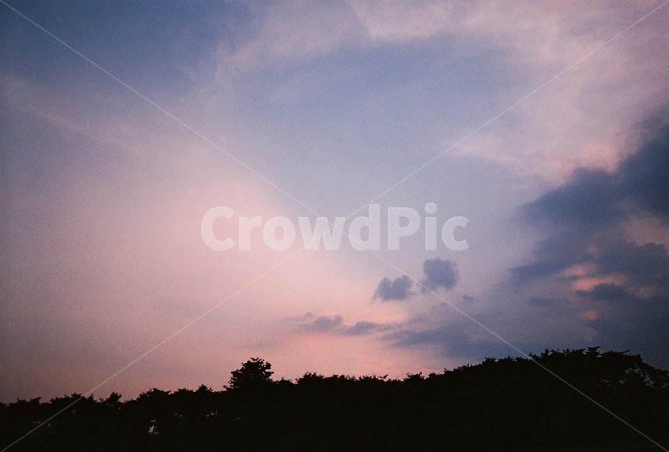 필름,필름사진,film,자연,nature,빛,석양,노을,sunset,자연,풍경,nature,landscape