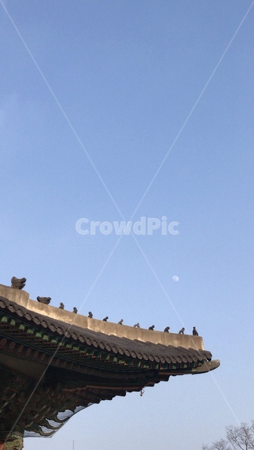덕수궁,궁,풍경,처마,경복궁,한국전통,한국문화,korean traditional,korean culture,건축물,건물외관,exterior,building,structure,architecture,construction