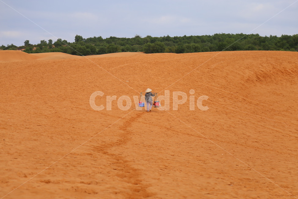 nature,자연,sand,모래,dune,모래언덕,사막,desert