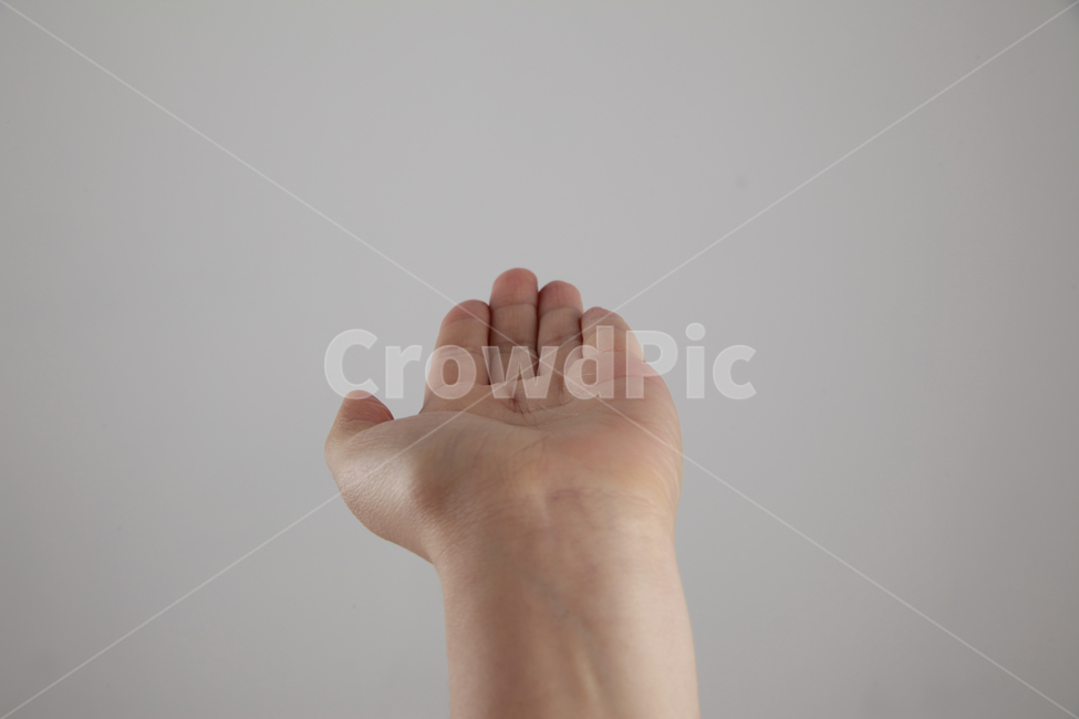 손,손모양,손가락,팔,왼손,손바닥,신체일부,손짓,표현,받침,사람,연출,컨셉,콘셉,동양인,human,person,body,hand,sign,expression,신체일부,몸,body,손,제스처,표시,손짓,표현,gesture,hand,sign,expression