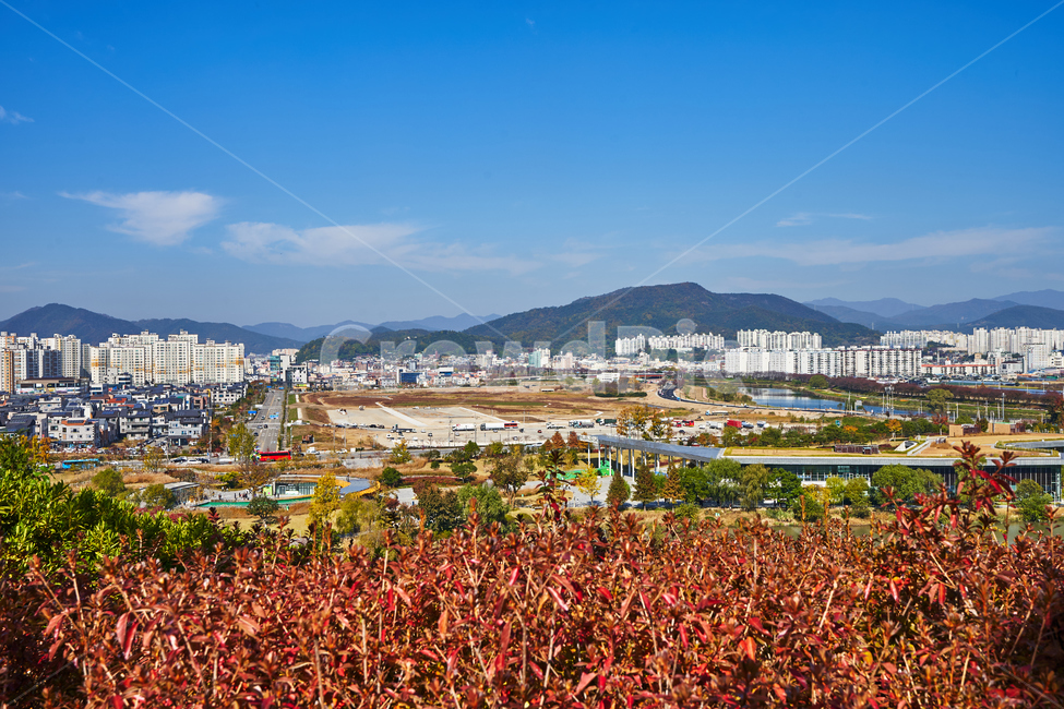 순천만국가정원,풍경,순천만정원,순천,언덕,뷰,전경,도시,풍경,city,landscape,nature,자연,outdoors,옥외,경치,scenery