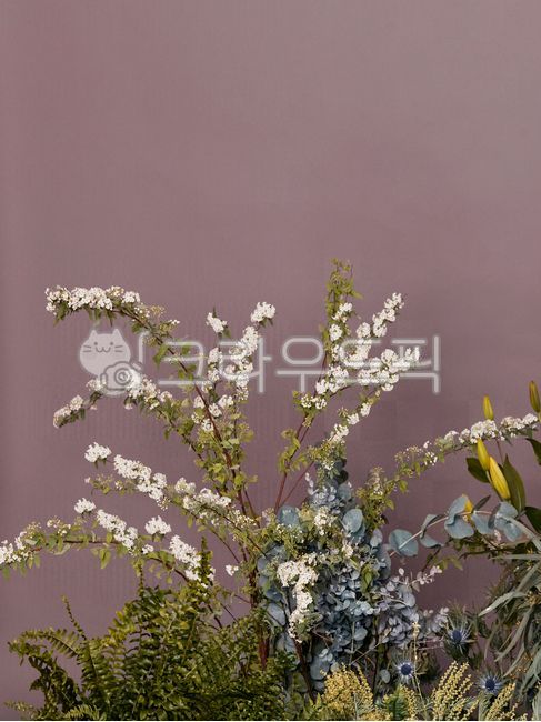 꽃,flower,flowerarrangement,꽃꽂이,ikebana,꽃장식,뮤트톤,mood,배경,식물배경,소스,background,배경소스,backgroundsource,백그라운드