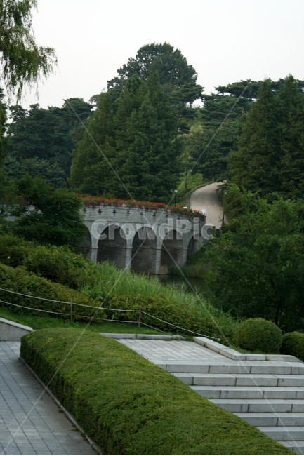 식물,flower,plants,nature,꽃,풍경,공원,다리,나무,자연,풍경,nature,landscape