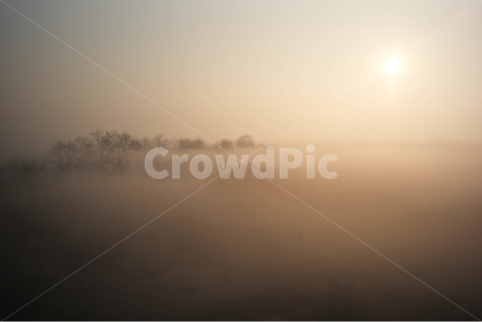 안개,여명,소래습지,겨울,새벽,자연,풍경,nature,landscape,outdoors,옥외,weather,날씨