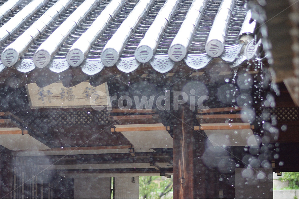 창경궁,비오는날,우중출사,고궁,물방울,한국전통,한국문화,korean traditional,korean culture,비,비오는날,rain,rainy,건축물,건물외관,exterior,building,structure,architecture,construction
