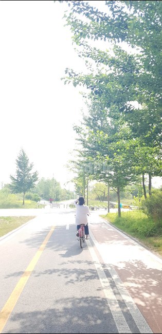 한강,한강자전거,잠실한강공원,산책로,운동