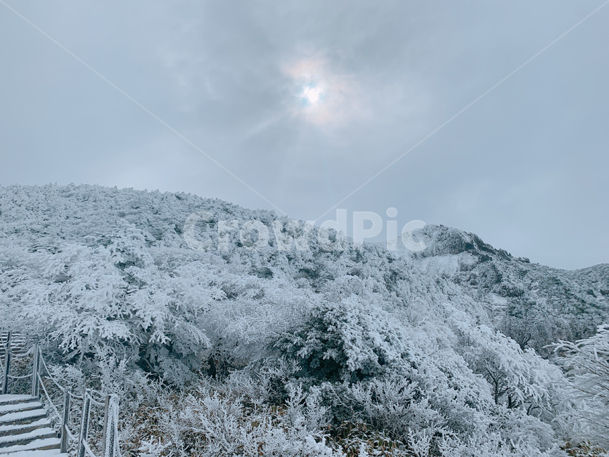 제주,제주도,산,설산,겨울,한라산,자연,풍경,눈