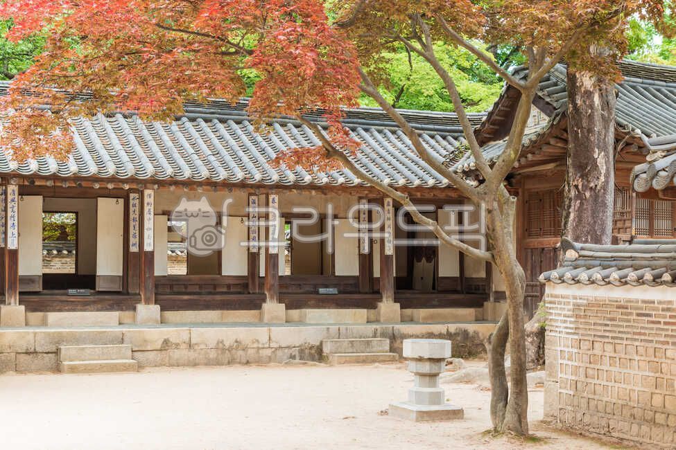 창덕궁,동궁,동궐,연경당,보물,유적,사적,한옥,조선,조선후기,건축,건축물,세계문화유산,문화,후원,비원,사랑채,가을,단풍,뜰,궁,궁전,궁궐,한국,서울,건축양식,전통양식,마당,문,기와,기와지붕,조용한,고즈넉한,전통한옥,주택,목조주택,목조건물,나무,아름다운,평화로운,녹색,고요한,가옥,경치,풍경,전통가옥