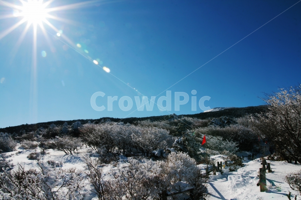 한라산,제주도,한라산눈꽃,눈꽃,일몰,겨울,계절,winter,season,자연,풍경,nature,landscape,한국자연풍경,한국자연경관,korea nature landscape,제주도,jeju,jeju island,light,빛,flare,플레어